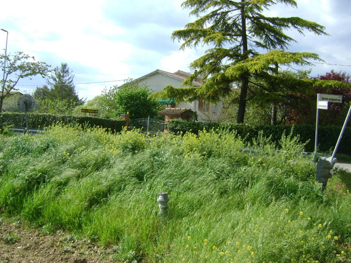 B&B La Mimosa Spello Exterior foto