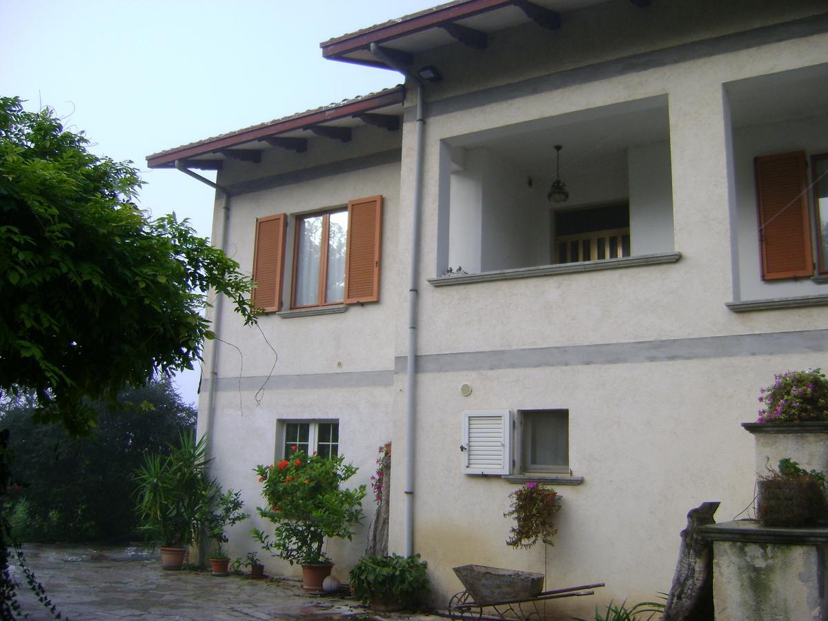 B&B La Mimosa Spello Exterior foto